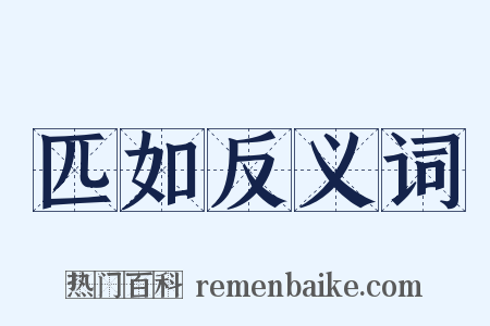 匹如反义词是什么意思的图片